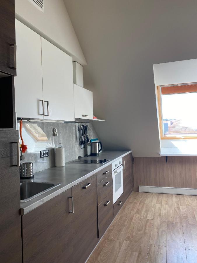Old Town View Apartment ヴィリニュス エクステリア 写真