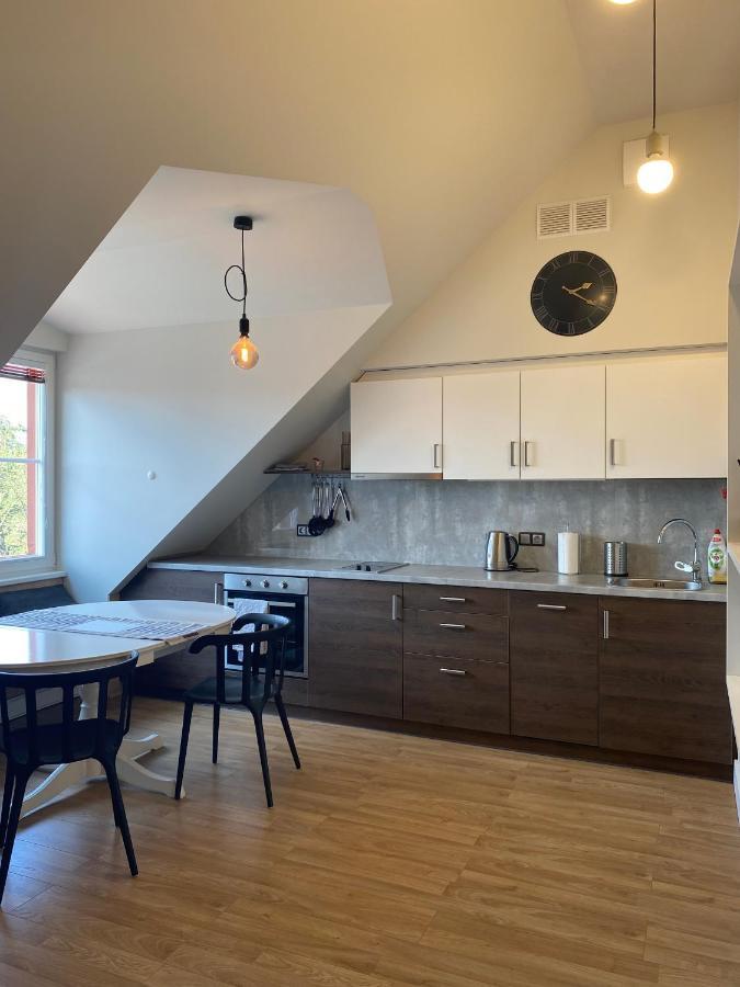 Old Town View Apartment ヴィリニュス エクステリア 写真